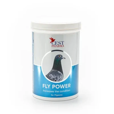 fly-power-600g