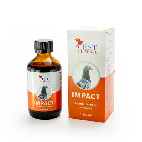 impact-250ml