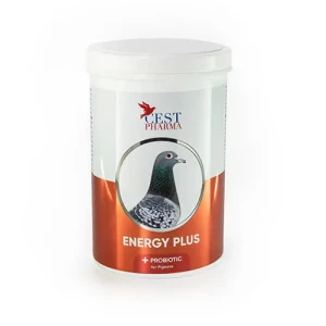 cest-energy